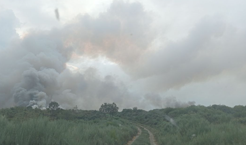 Incendio Espina de Tremor