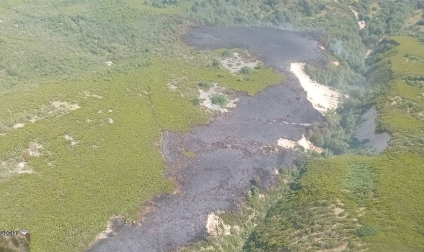 Incendio Caboalles (2)