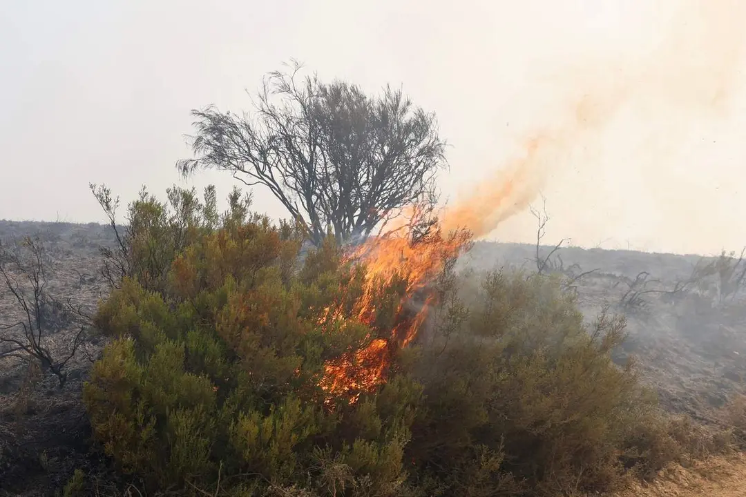 Incendio forestal de Murias de Ponjos (Le&oacute;n), en el que la Guardia Civil ha desalojado a 36 personas de Andarraso, Rosales y Folloso. Fotos.&nbsp;Carlos S. Campillo / ICAL