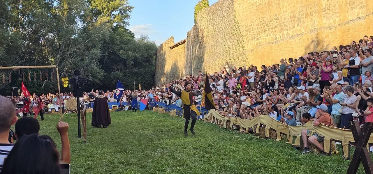 Justas Medievales de Mansilla de las Mulas 2026 (41)
