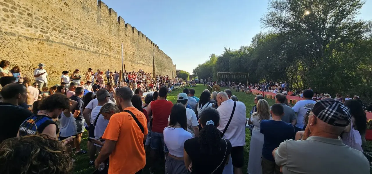 Justas Medievales de Mansilla de las Mulas 2026 (11)