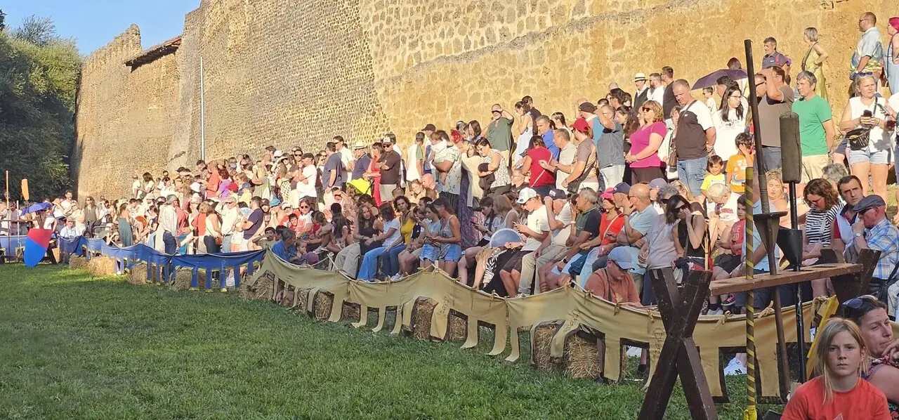 Justas Medievales de Mansilla de las Mulas 2026 (12)