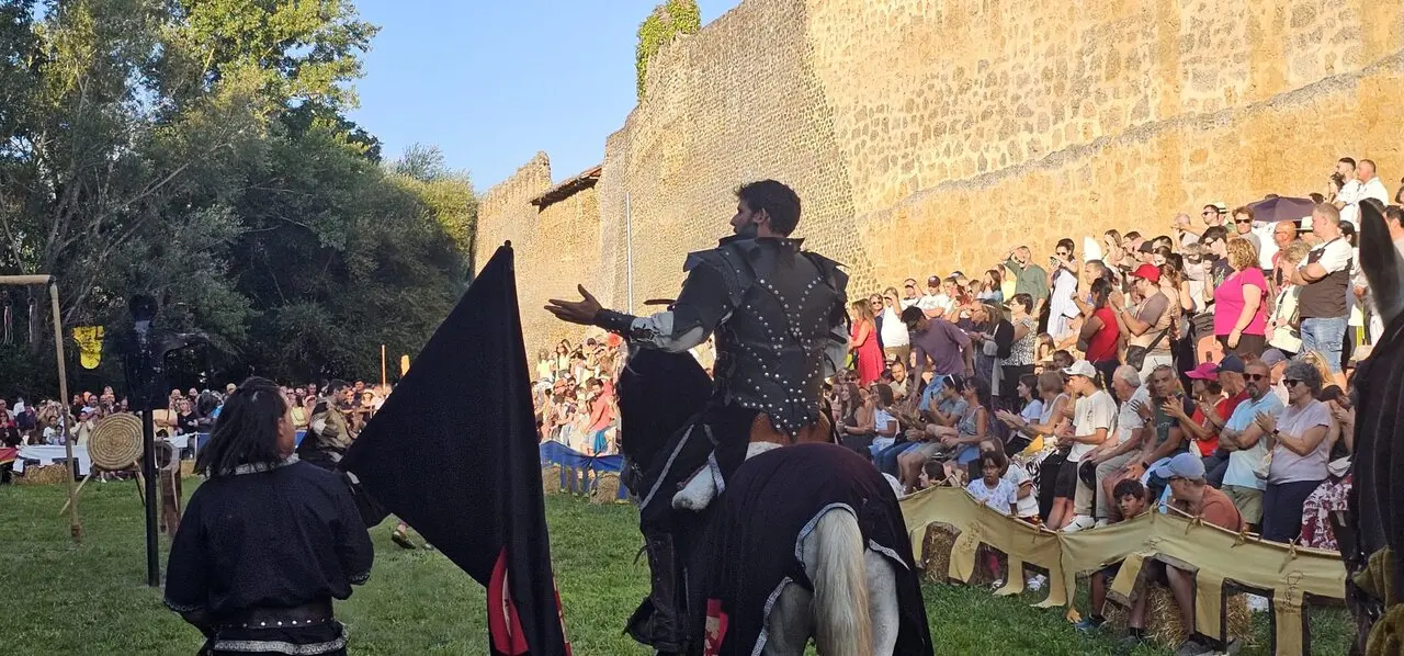 Justas Medievales de Mansilla de las Mulas 2026 (13)