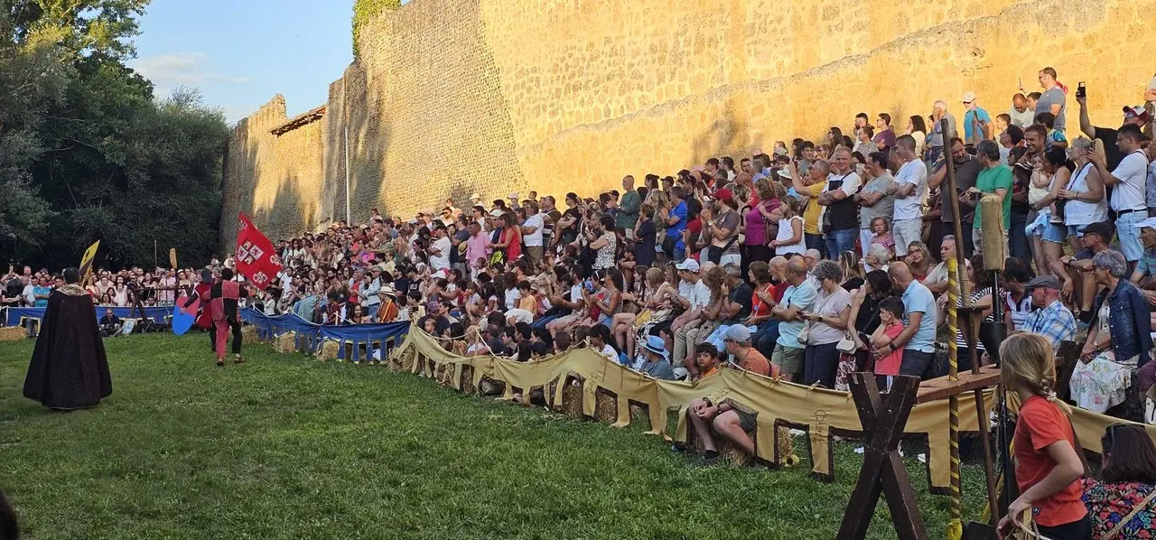 Justas Medievales de Mansilla de las Mulas 2026 (14)