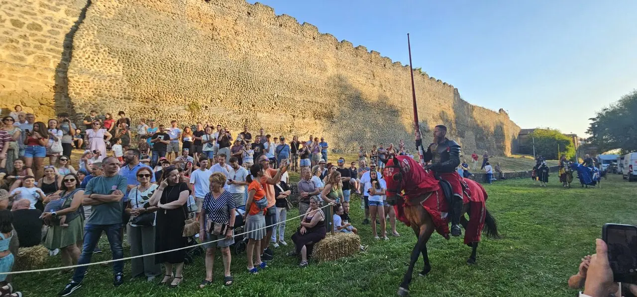 Justas Medievales de Mansilla de las Mulas 2026 (20)