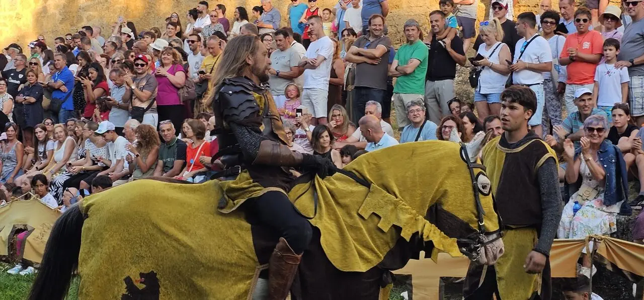 Justas Medievales de Mansilla de las Mulas 2026 (21)