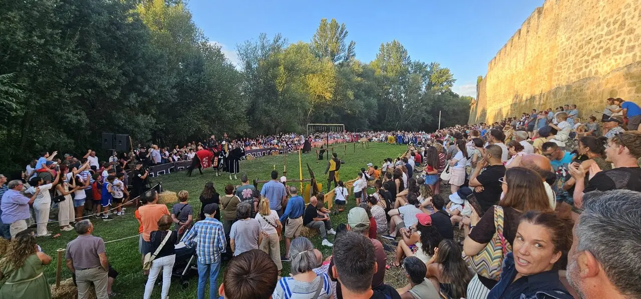 Justas Medievales de Mansilla de las Mulas 2026 (22)