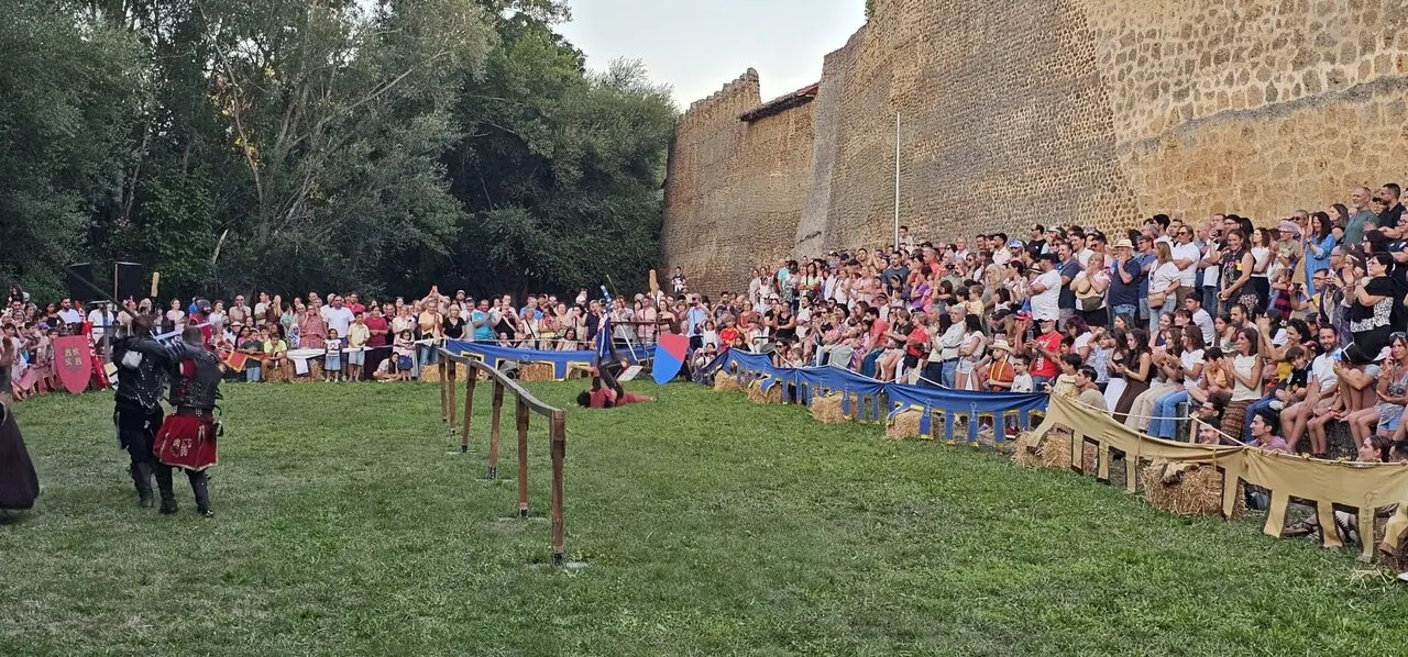 Justas Medievales de Mansilla de las Mulas 2026 (28)