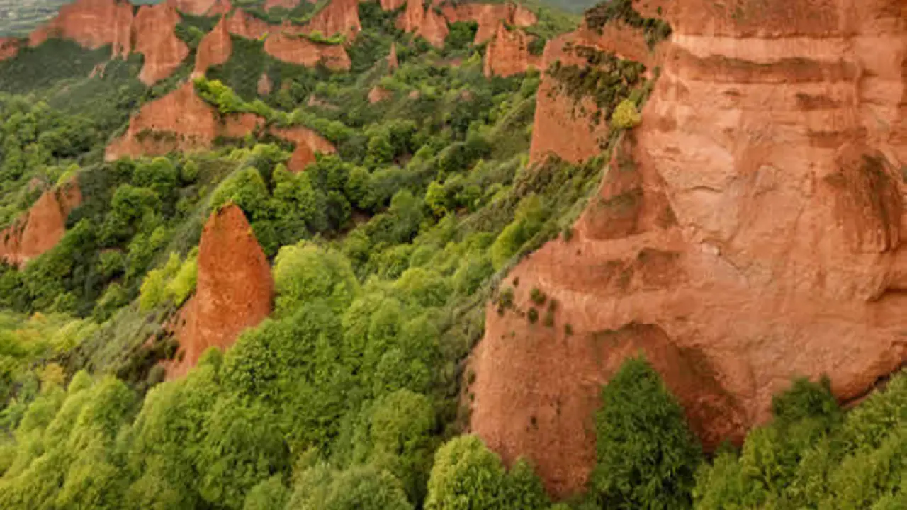 Las M&eacute;dulas