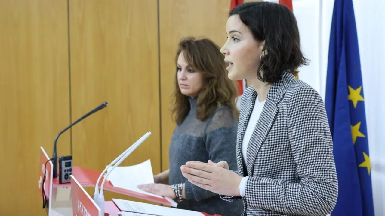 La diputada socialista leonesa Andrea Fern&aacute;ndez. | ICAL