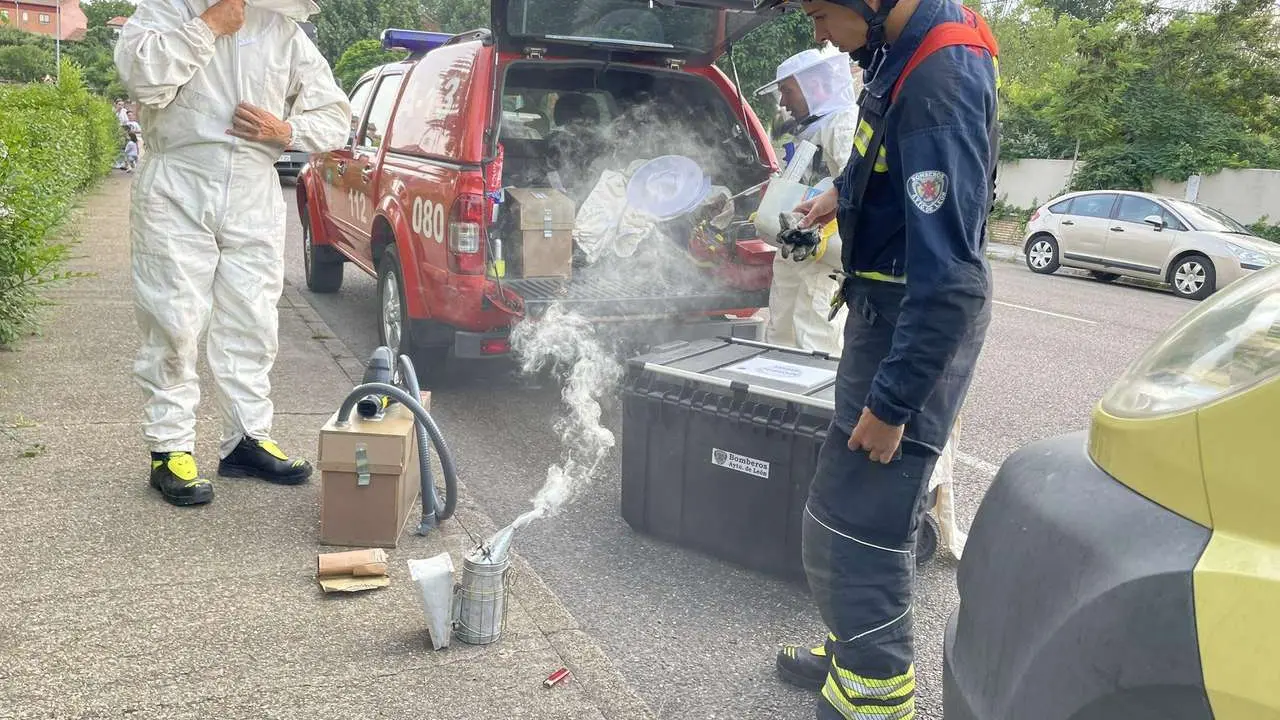 Imagen de archivo de bomberos con nidos de avispas.