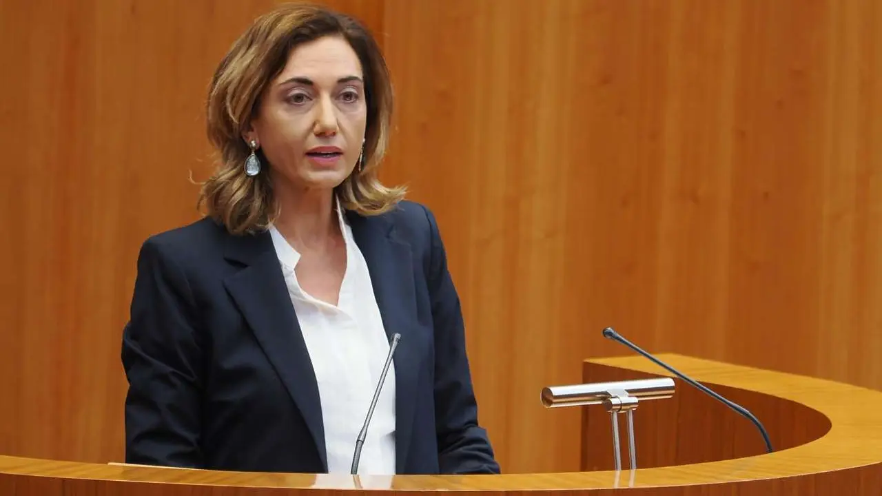 La procuradora de UPL, Alicia Gallego.