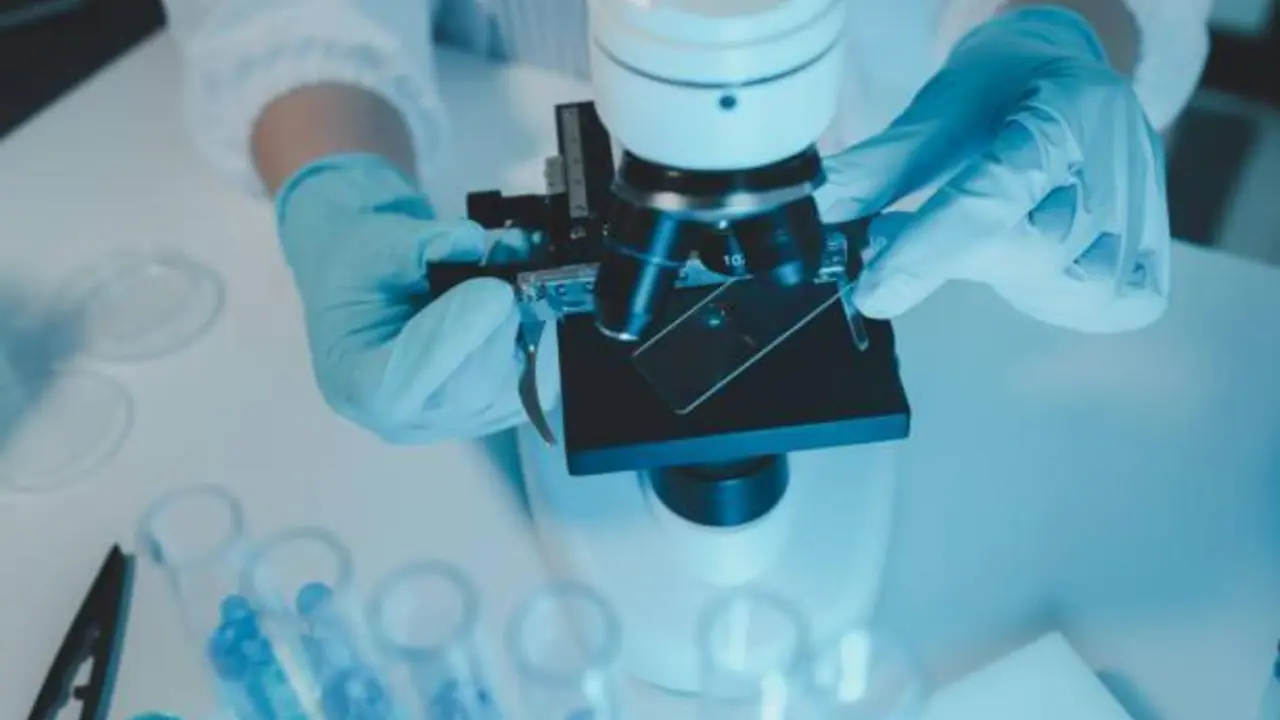 Imagen de un cient&iacute;fico trabajando en un laboratorio. Le&oacute;n24horas