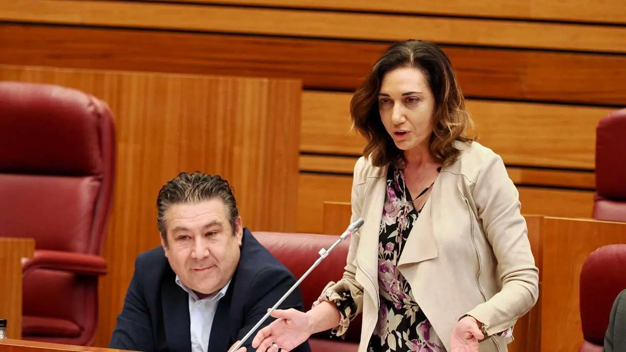 La procuradora de UPL, Alicia Gallego
