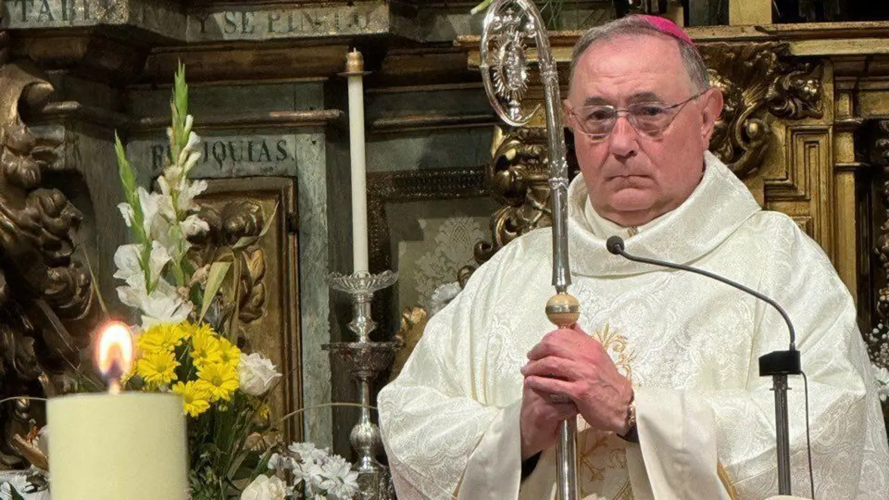 Imagen de la Di&oacute;cesis de Le&oacute;n