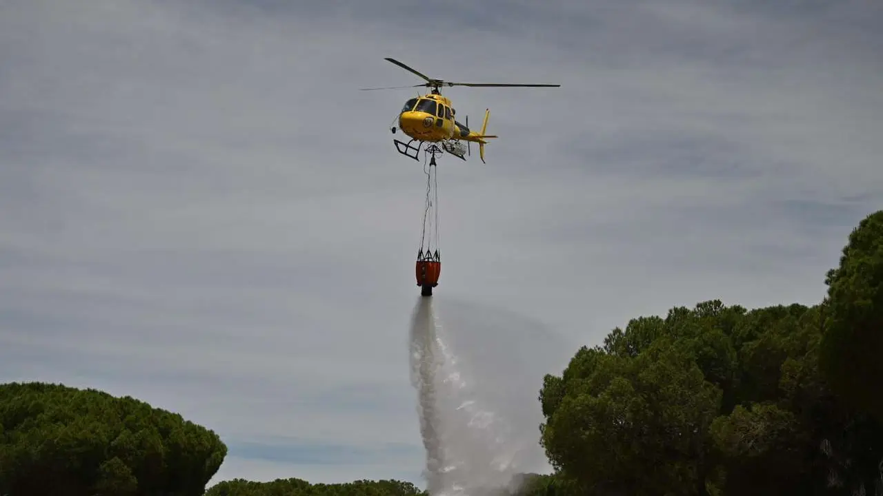 Imagen de archivo - Incendio Forestal