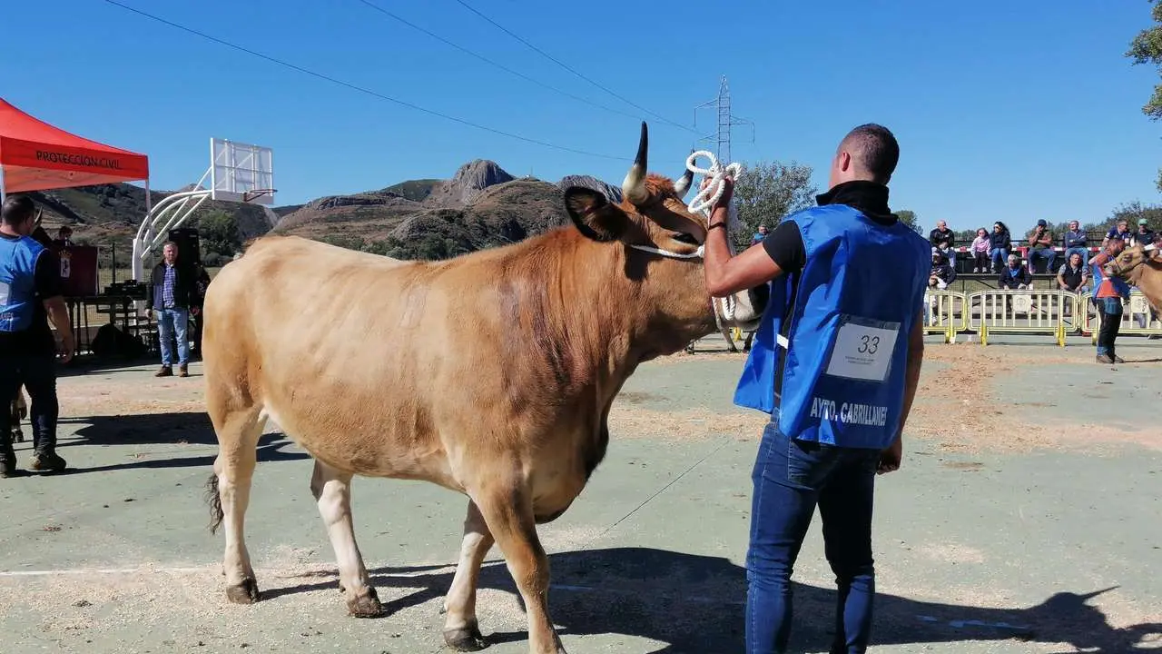 Feria de la Asturiana de los Valles en Cabrillanes