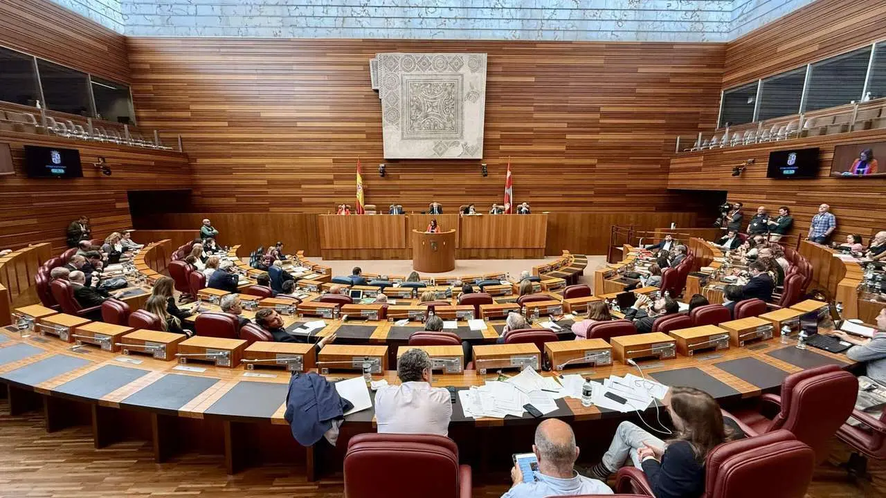 Pleno de las Cortes de Castilla y Le&oacute;n. Leticia P&eacute;rez. ICAL. 
