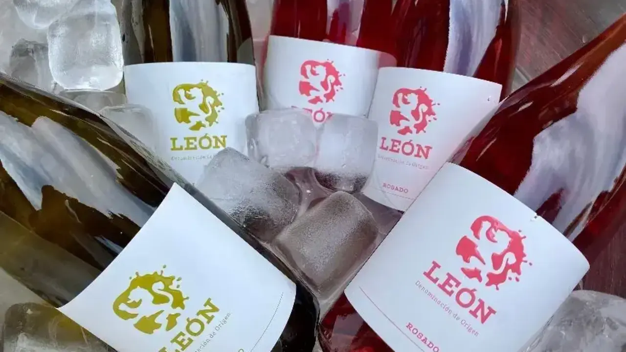 Vinos DO Le&oacute;n.