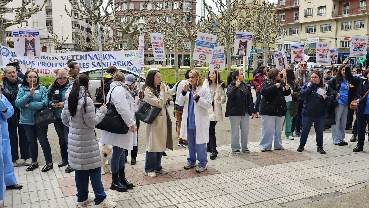 Concentraci&oacute;n de los veterinarios de Le&oacute;n frente a la Subdelegaci&oacute;n del Gobierno