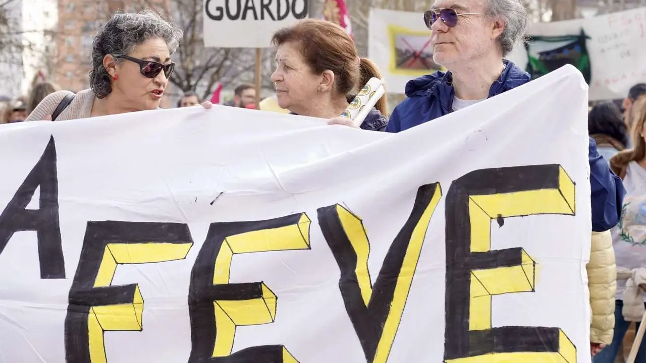 Manifestaci&oacute;n en defensa de Feve este domingo en las calles de la ciudad de Le&oacute;n. / CAMPILLO / ICAL