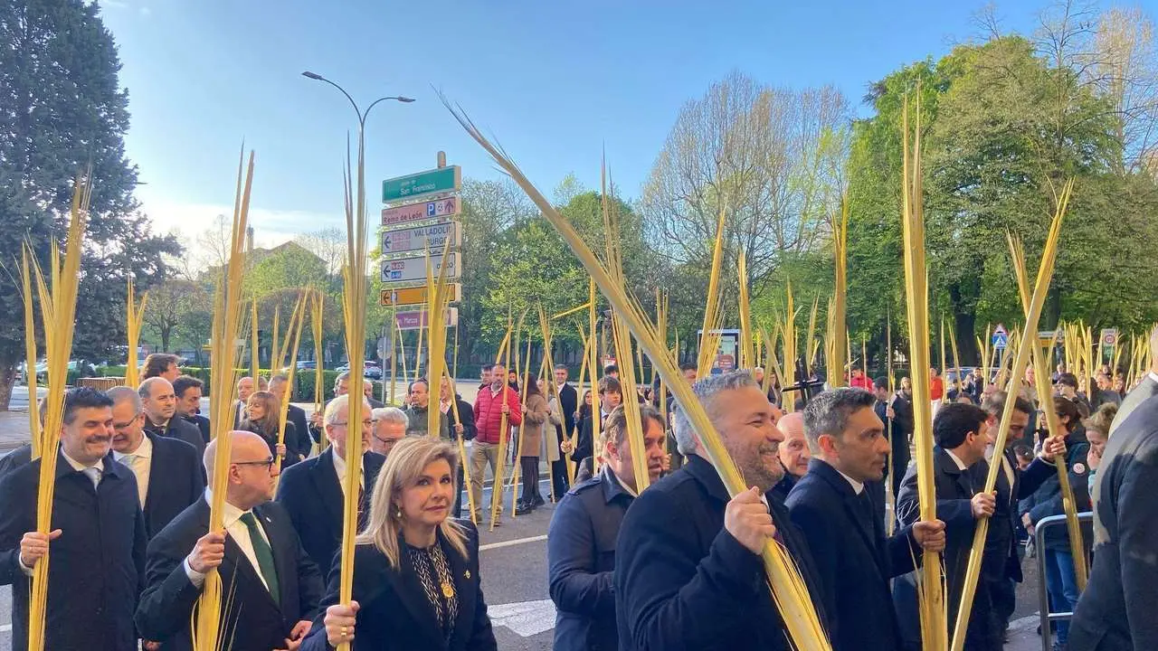 Procesi&oacute;n de las Palmas  del Dulce Nombre y Angustias y Soledad. / LEON24HORAS