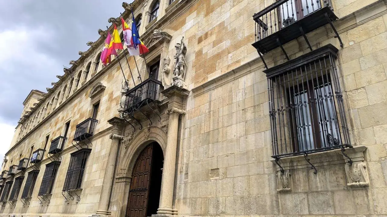 Diputaci&oacute;n y Junta subvencionan estas ayudas. | LE&Oacute;N24HORAS