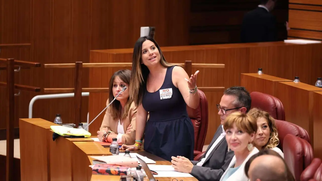 Imagen GPS Cortes CyL. Nuria Rubio durante su intervenci&oacute;n