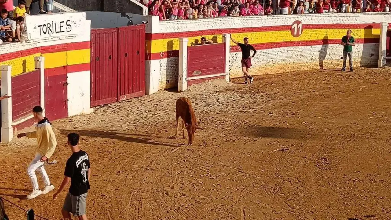 Una fiesta taurina en Sahag&uacute;n. | LE&Oacute;N24HORAS