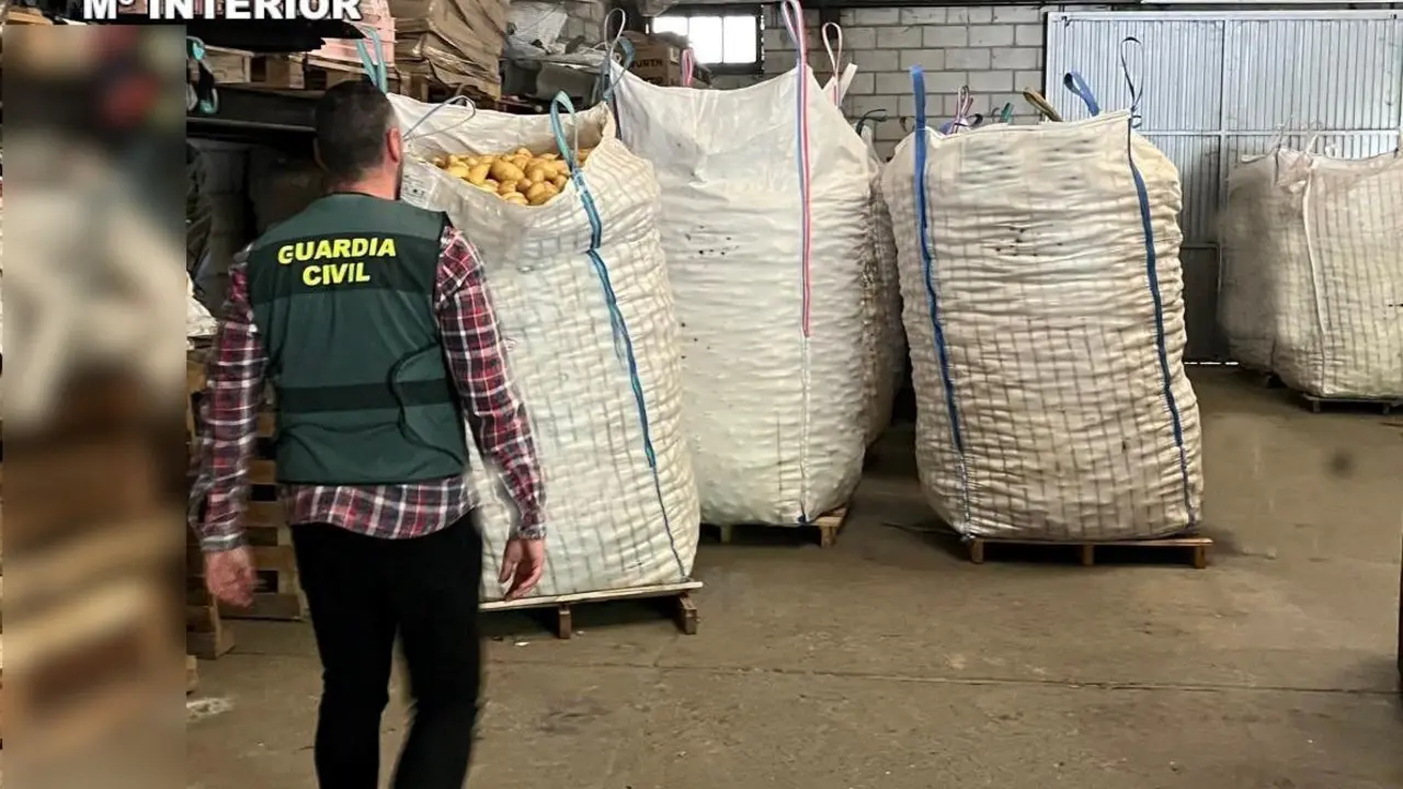 La mercanc&iacute;a ha sido recuperada por la Guardia Civil en Asturias. 