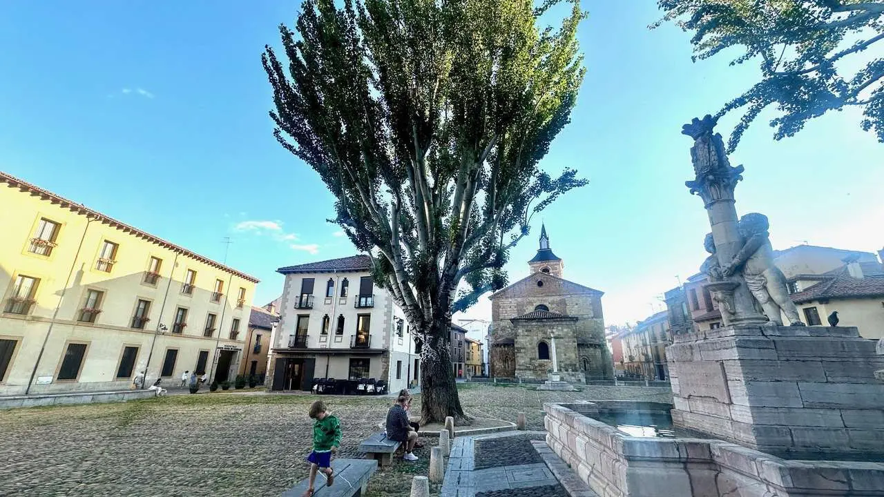 El restaurante La &Uacute;nica, en la Plaza del Grano, acoge un ronqueo de at&uacute;n rojo que dar&aacute; paso a sus jornadas gastron&oacute;micas. | SM