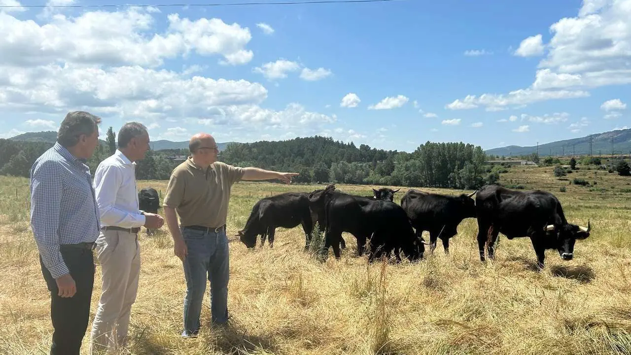 El director general de Producci&oacute;n Agr&iacute;cola y Ganadera, Rub&eacute;n Serrano, visita el Centro de Selecci&oacute;n y Reproducci&oacute;n Animal de Le&oacute;n (CENSYRA), que, dependiente de la Consejer&iacute;a de Agricultura, Ganader&iacute;a y Desarrollo Rural de la Junta de Castilla y Le&oacute;n, se establece como una infraestructura esencial para el futuro de la ganader&iacute;a auton&oacute;mica