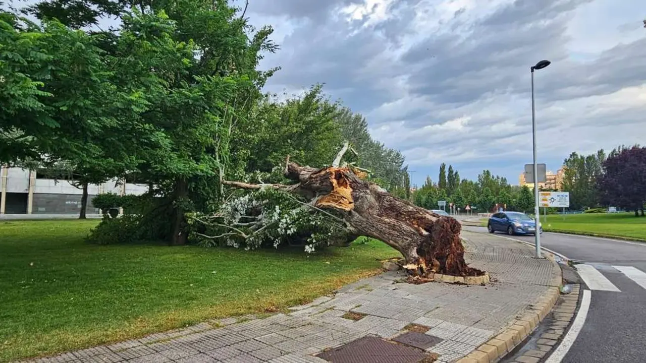 Las tormentas podr&iacute;an repetirse este viernes y s&aacute;bado.
