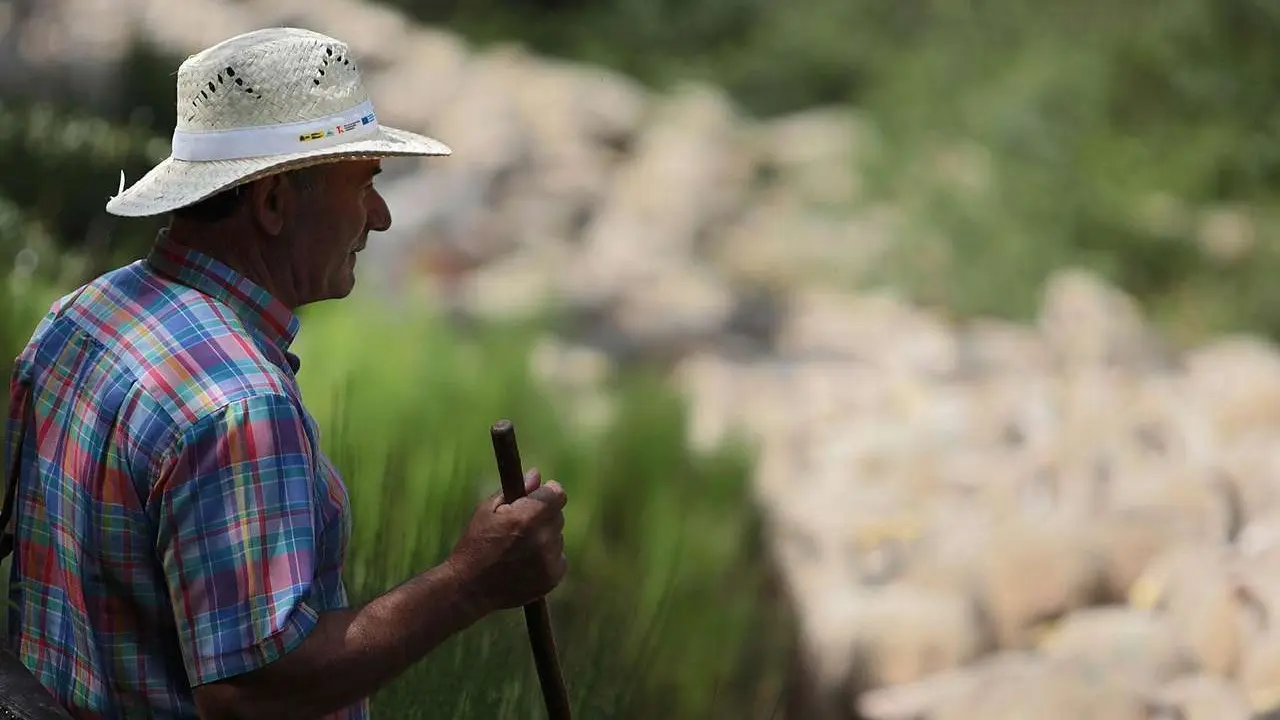 Peio Garc&iacute;a. ICAL. La Asociaci&oacute;n Club de Producto Caminos Trashumantes, con la colaboraci&oacute;n de la Junta Vecinal de Salam&oacute;n y el Club de Monta&ntilde;a Pandetrave, organizan la jornada &lsquo;Trashumancia sin barreras&rsquo;