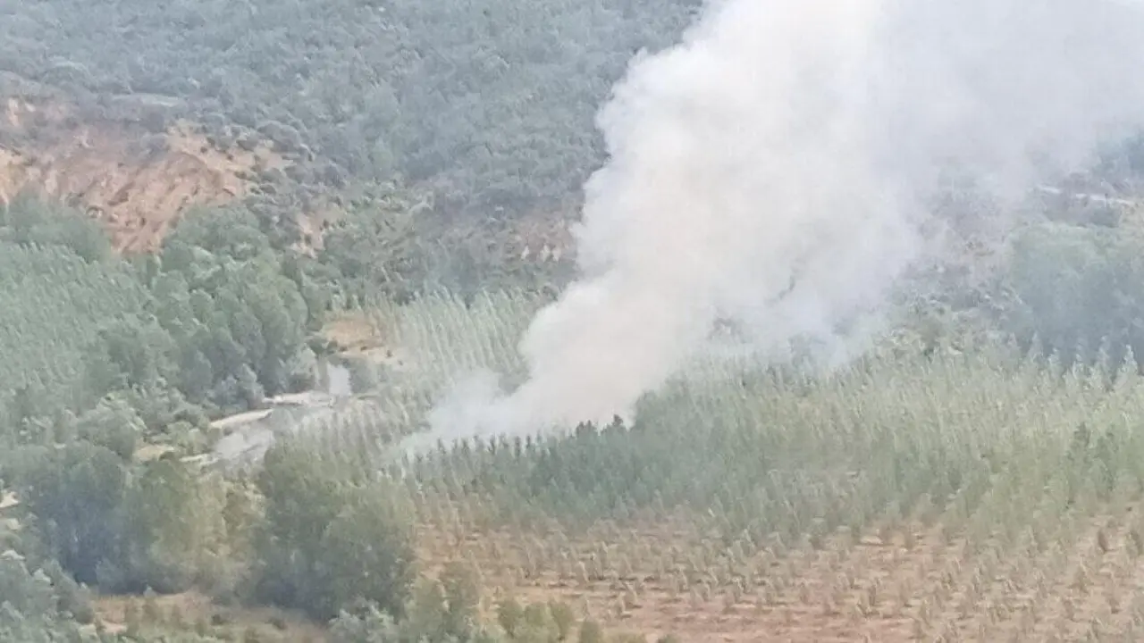 Zona del incendio