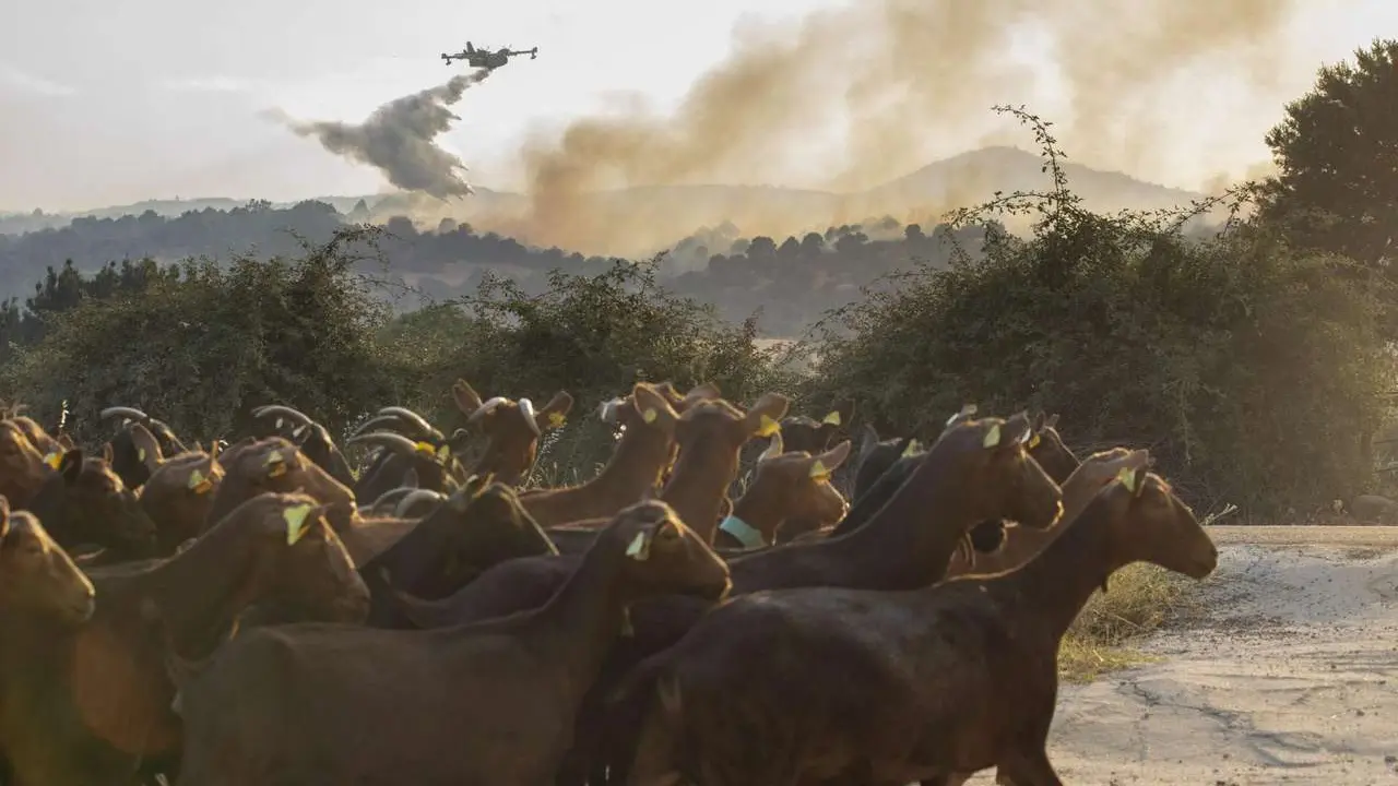 Rmestudios. ICAL. La Junta activa la situaci&oacute;n operativa dos ante la evoluci&oacute;n del incendio de Navaluenga (&Aacute;vila)