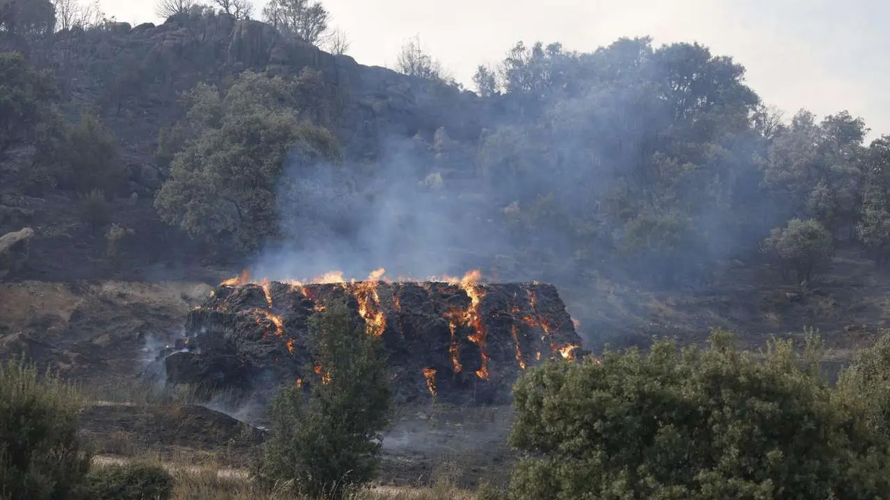 Rmestudios. ICAL. La Junta activa la situaci&oacute;n operativa dos ante la evoluci&oacute;n del incendio de Navaluenga (&Aacute;vila)