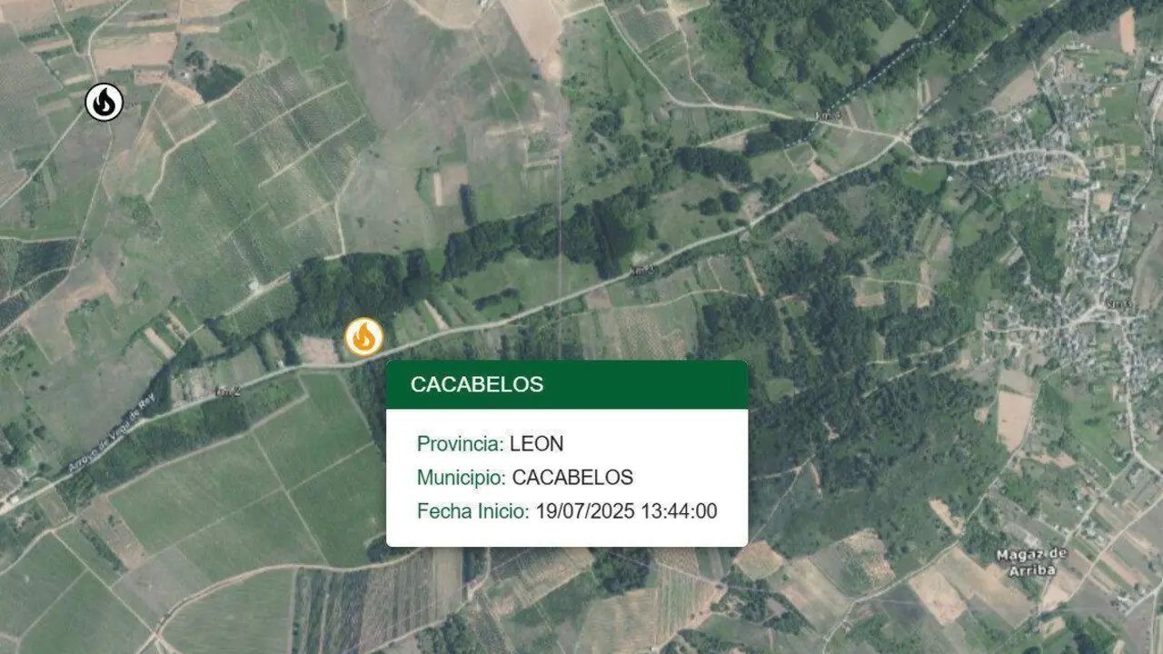 Incendio forestal en Cacabelos, cercano al que se desat&oacute; ayer 