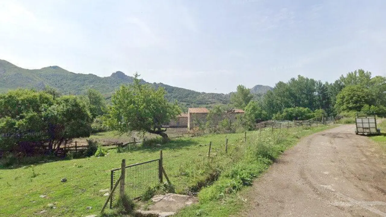 Camposolillo