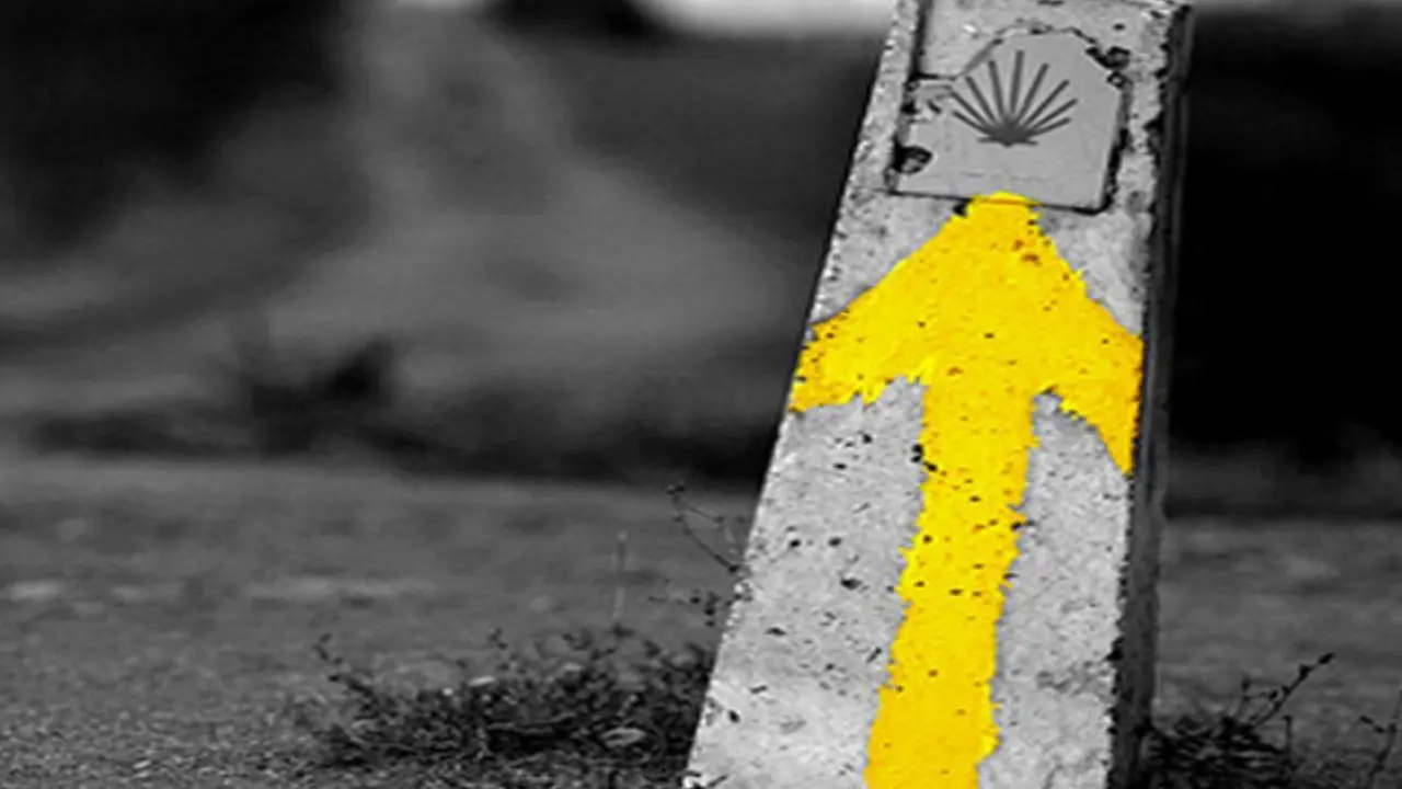La Asociaci&oacute;n de Amigos del Camino de Santiago en el Bierzo organiza actividades para conmemorar este viernes el D&iacute;a de Santiago.