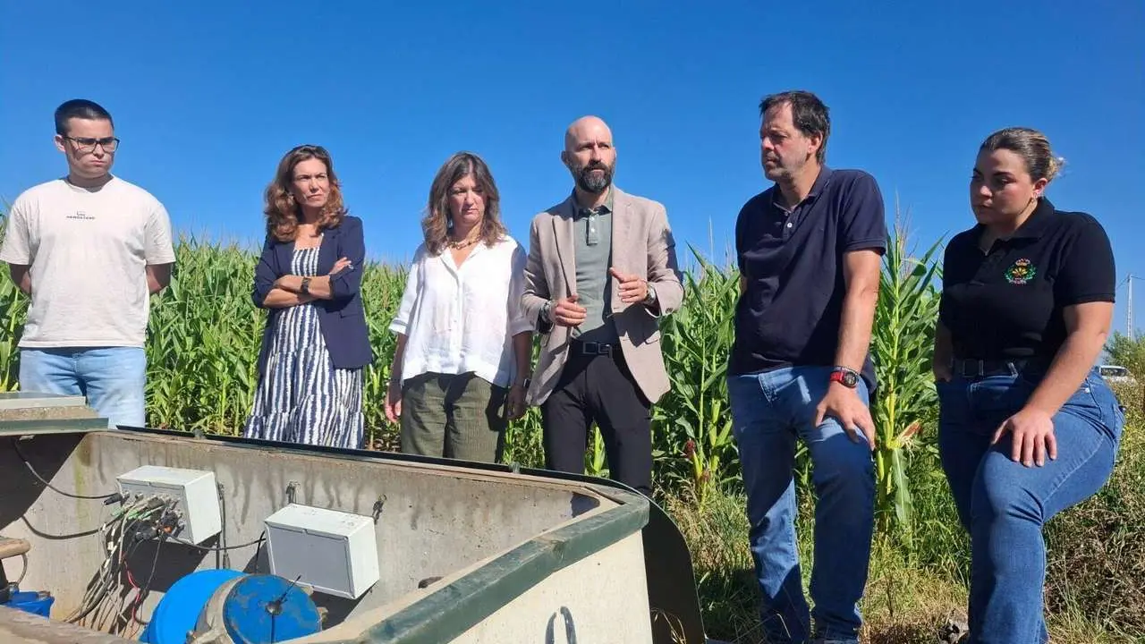 El programa Campus Rural del Gobierno permite a 24 estudiantes de la ULE aplicar su formaci&oacute;n en proyectos reales del territorio. | ULE