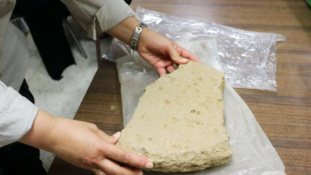 Restos hallados en el Castro de los Jud&iacute;os que ser&aacute;n analizados en los laboratorios de la Universidad de Le&oacute;n