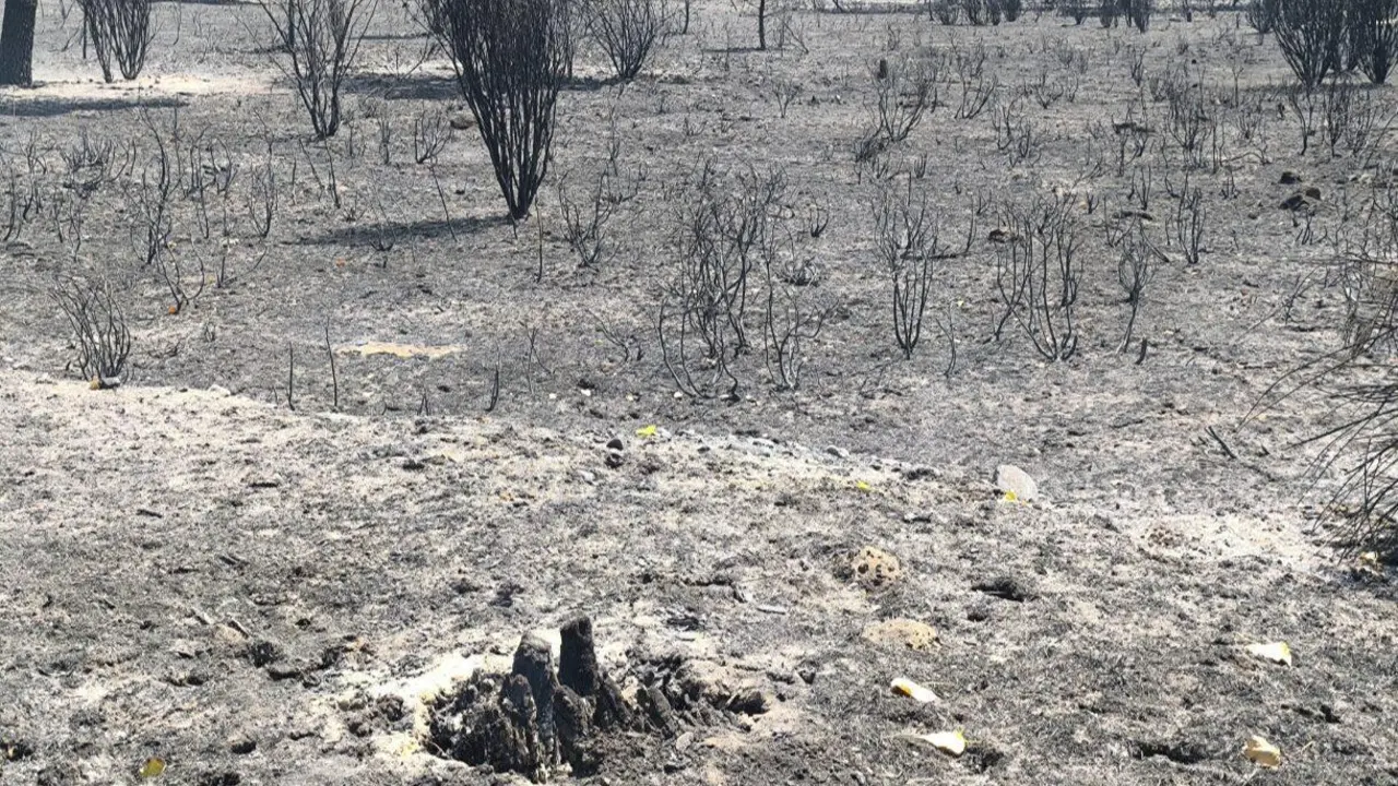 Le&oacute;n24horas