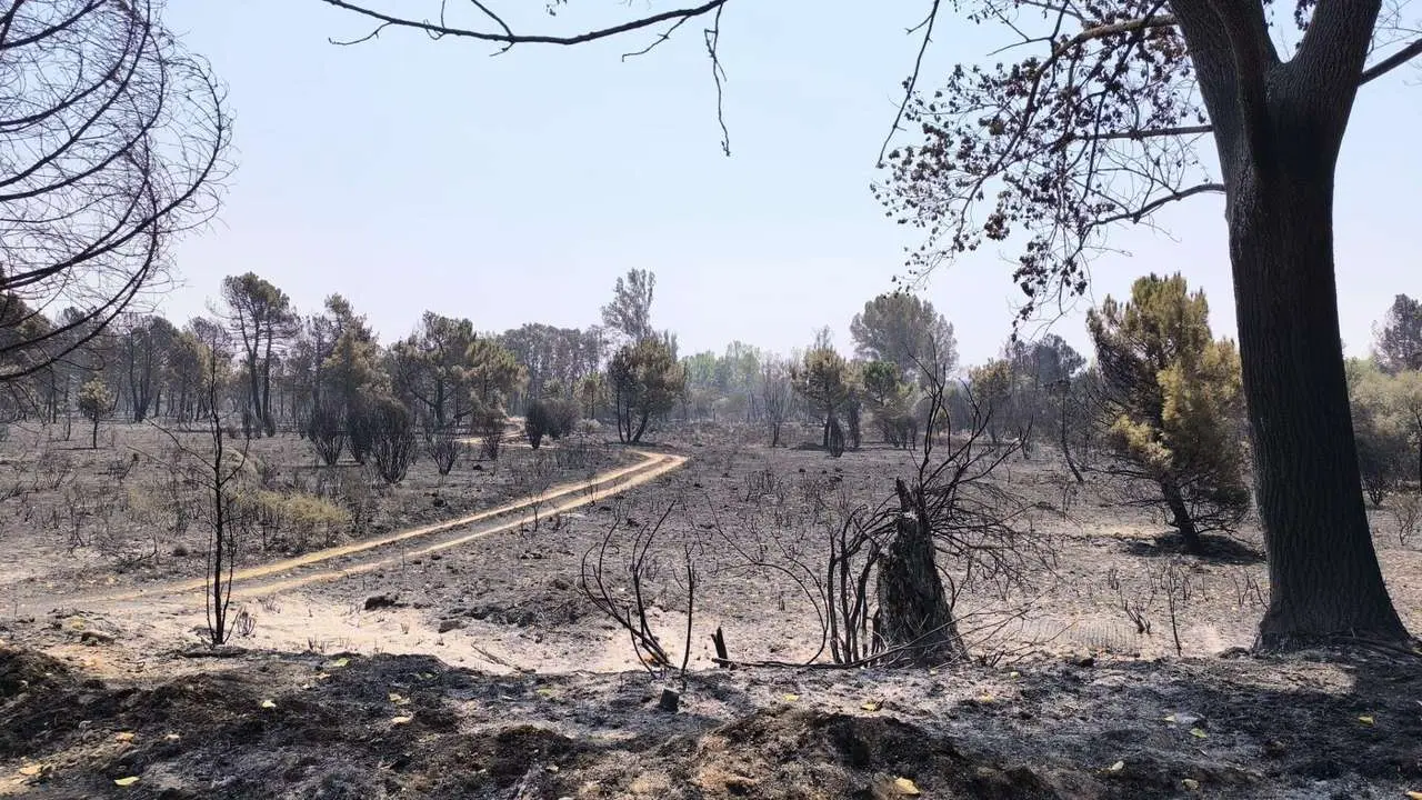 En el incendio de Nogarejas, que se propag&oacute; desde Zamora a Le&oacute;n, dos leoneses perdieron la vida. | Le&oacute;n24horas