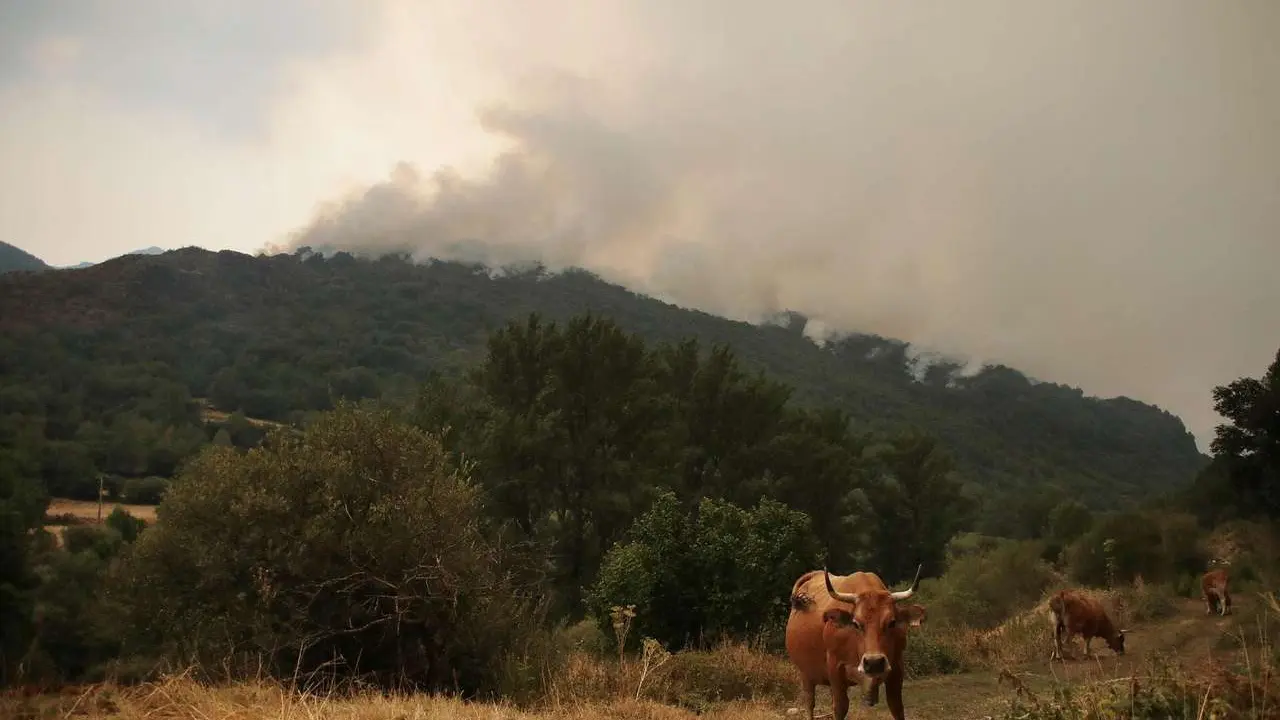 Peio Garc&iacute;a. ICAL. El incendio de Fasgar amenaza a las poblaciones de Villapuj&iacute;n, Barrio de la Puente y Posada de Oma&ntilde;a