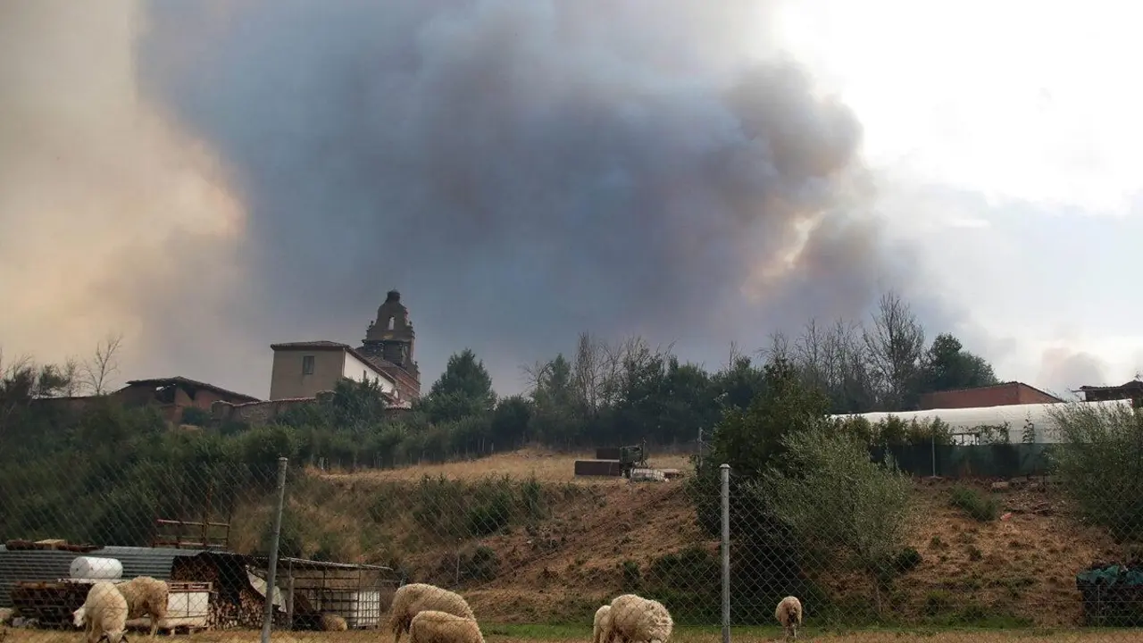 Foto de archivo: El incendio de Almanza 