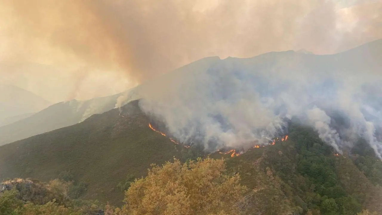 C&eacute;sar Hornija. ICAL. Incendio en el municipio de Oencia (Le&oacute;n)