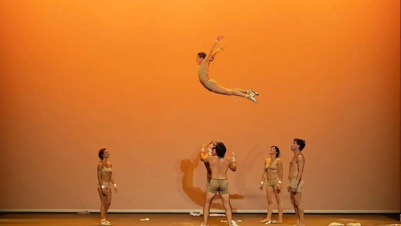 circo contempor&aacute;neo de &lsquo;DESproVISTO&rsquo;