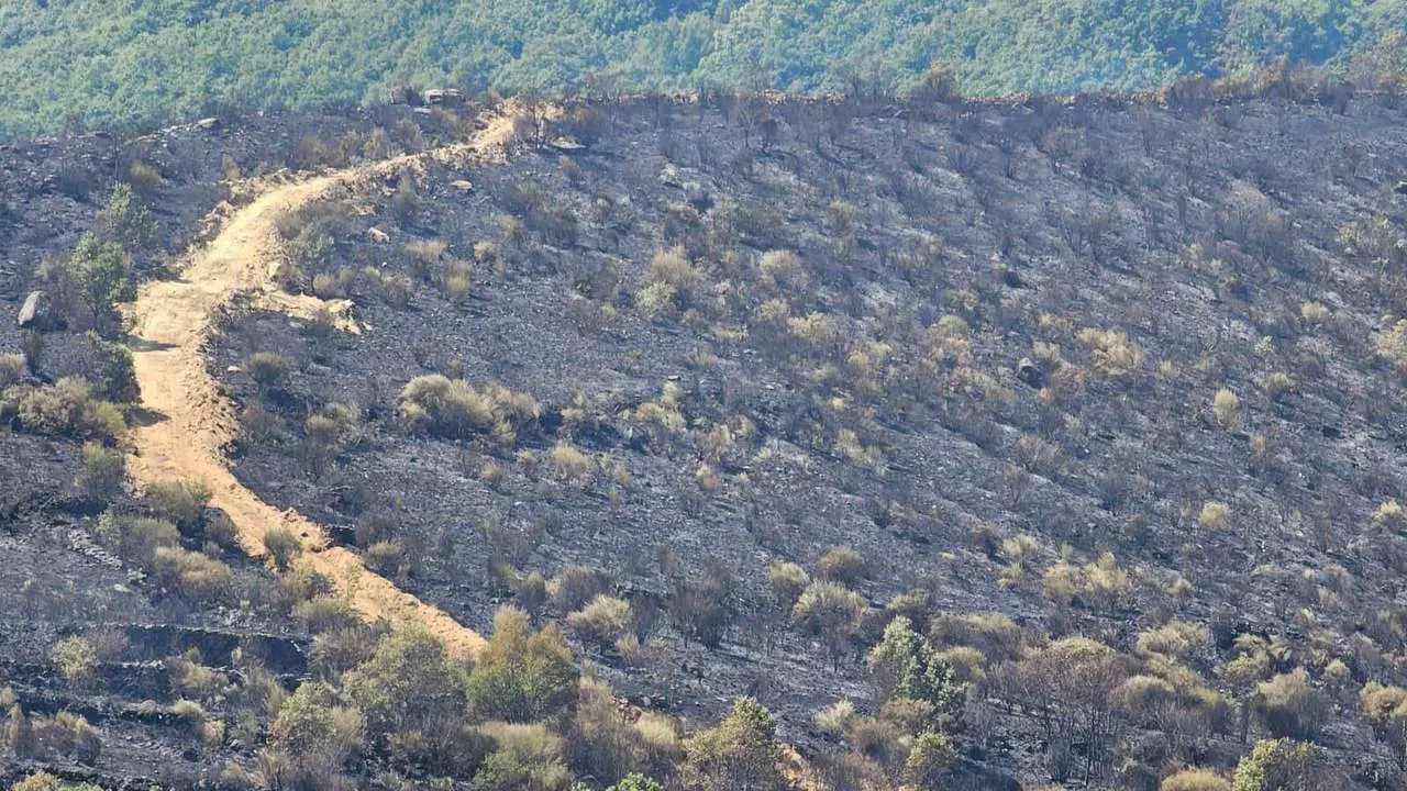 Incendio San Cipri&aacute;n de Sanabria, Zamora. Le&oacute;n24horas
