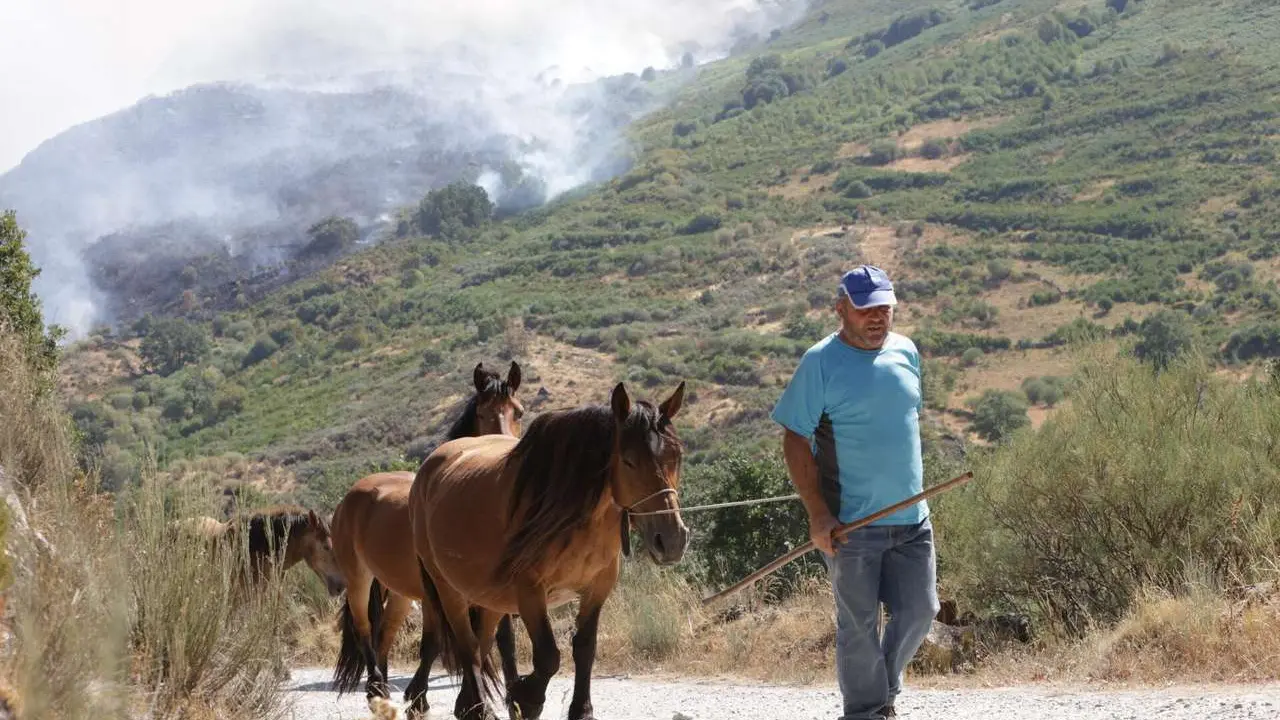 JL Leal. ICAL. Incendio en Porto de Sanabria